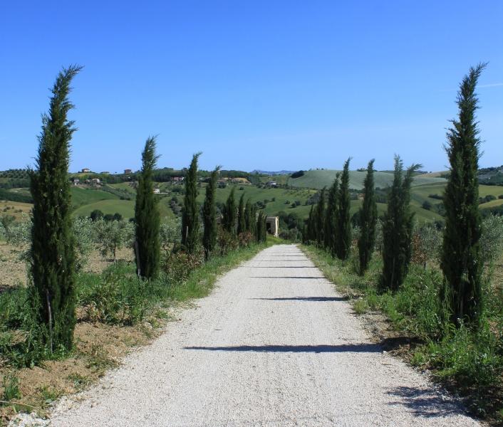 Azienda agricola in Vendita in Abruzzo
